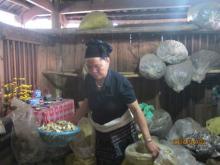 Truy Tìm Công Thức Trị Nám Da Bằng Thuốc Nam Hiệu Quả Đến Không Ngờ